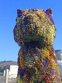 Bilbao et le Guggenheim 11